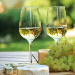 Degustacja wina i wizyta w winnicy dla Dwojga