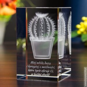 Kaktus kulka 3D • personalizowany kryształ 3D • GRAWER 3D