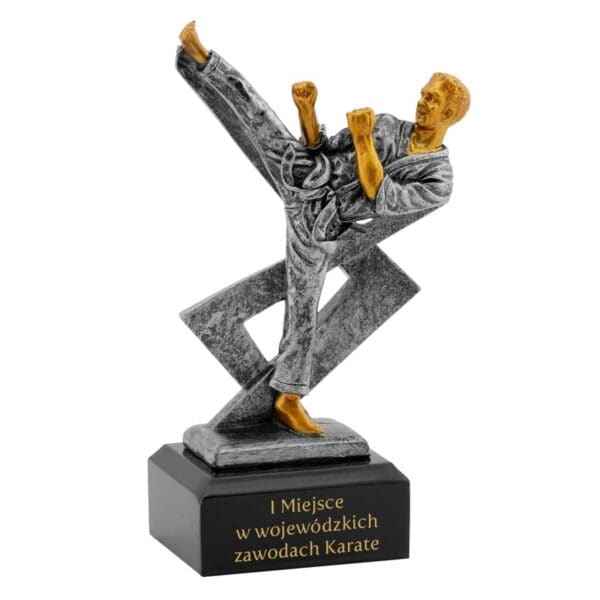 Statuetka Karate / Personalizowana / Nagroda Dla Zawodnika Karate